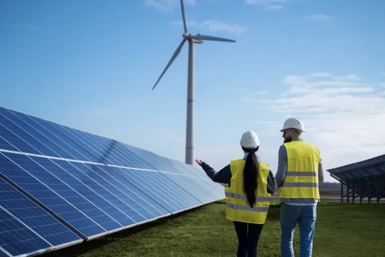 Feasibility Study and Assessment in M&A for the Renewable Energy Sector